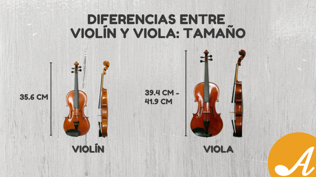 Diferencias de tamaño entre un violin y una viola