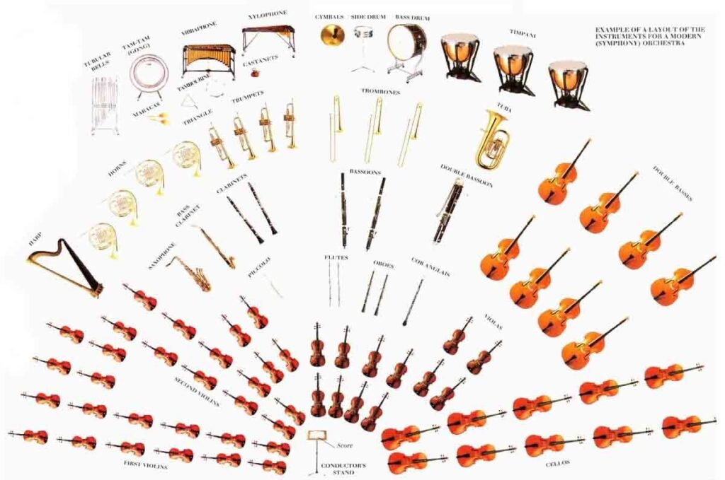 Arrangement of the instruments of a symphony orchestra, with the violins, violas and cellos in the first row